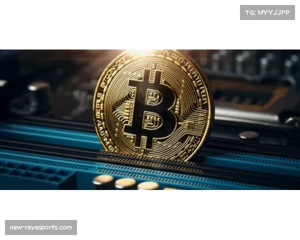 巴黎举办“欧冠之夜”球迷文化活动，展示赛事历史与城市足球文化